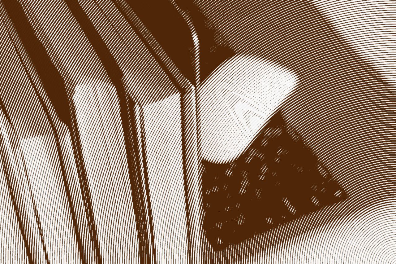 С 2026 года изменился порядок внесения и отражения в ЕГРЮЛ и ЕГРИП сведений о кодах по ОКВЭД